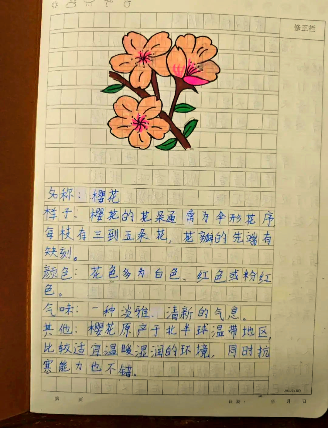 为自己的植物朋友做个记录卡怎么做(照样子,为自己的植物朋友做个记录卡)