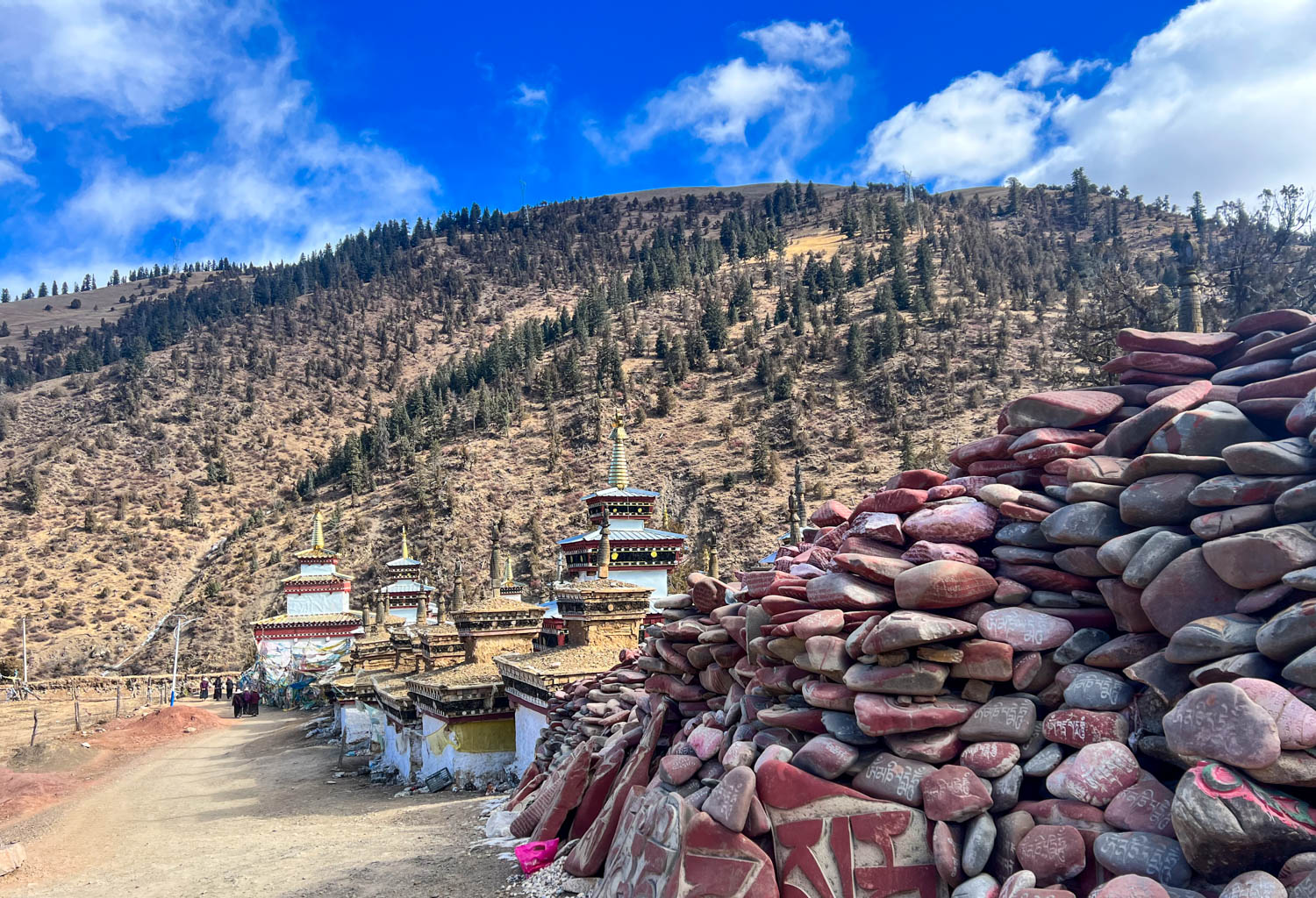 西藏自驾游第19天:从丁青到类乌齐,喂马鹿观塔林游查杰玛大殿