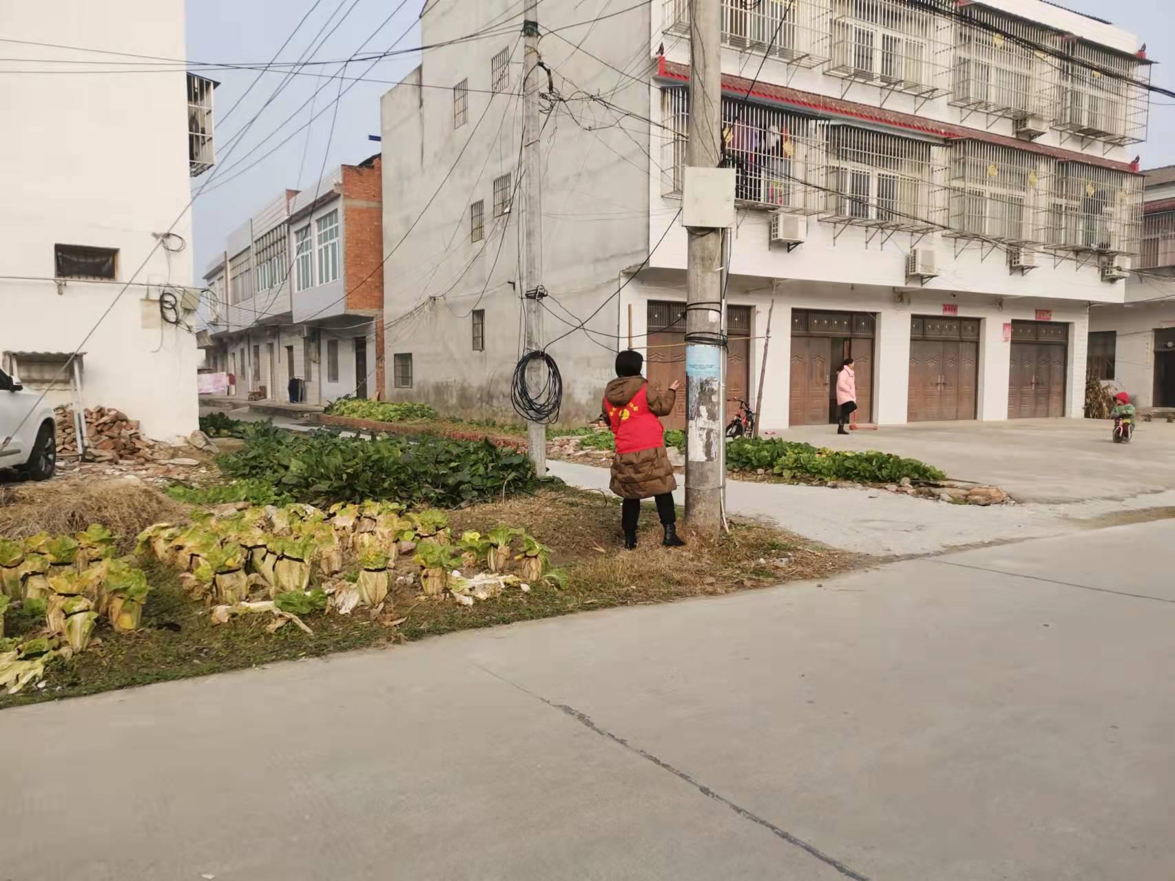 西流河镇开展迎新春大扫除志愿活动