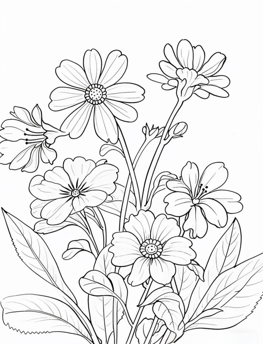 多种花卉简笔画图案及绘画技巧分享