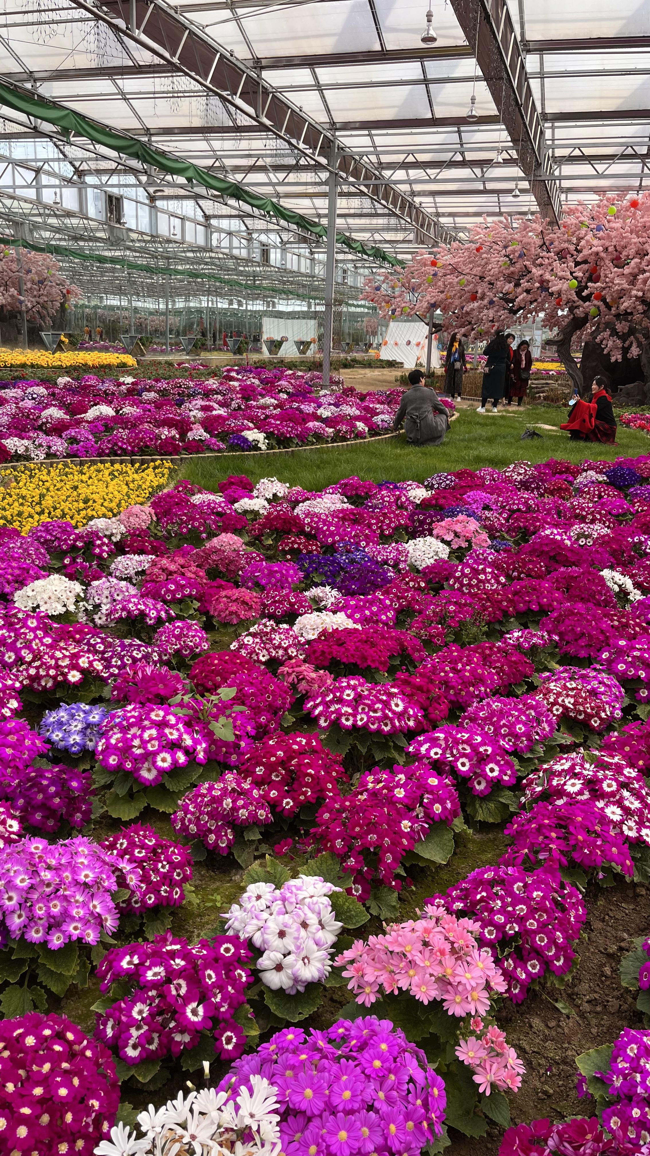 康王谷花世界一日游美图
