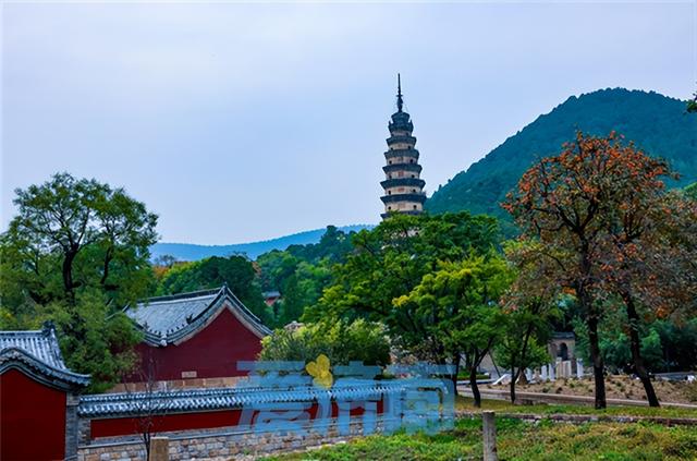 漫话济南灵岩寺"四绝"之称