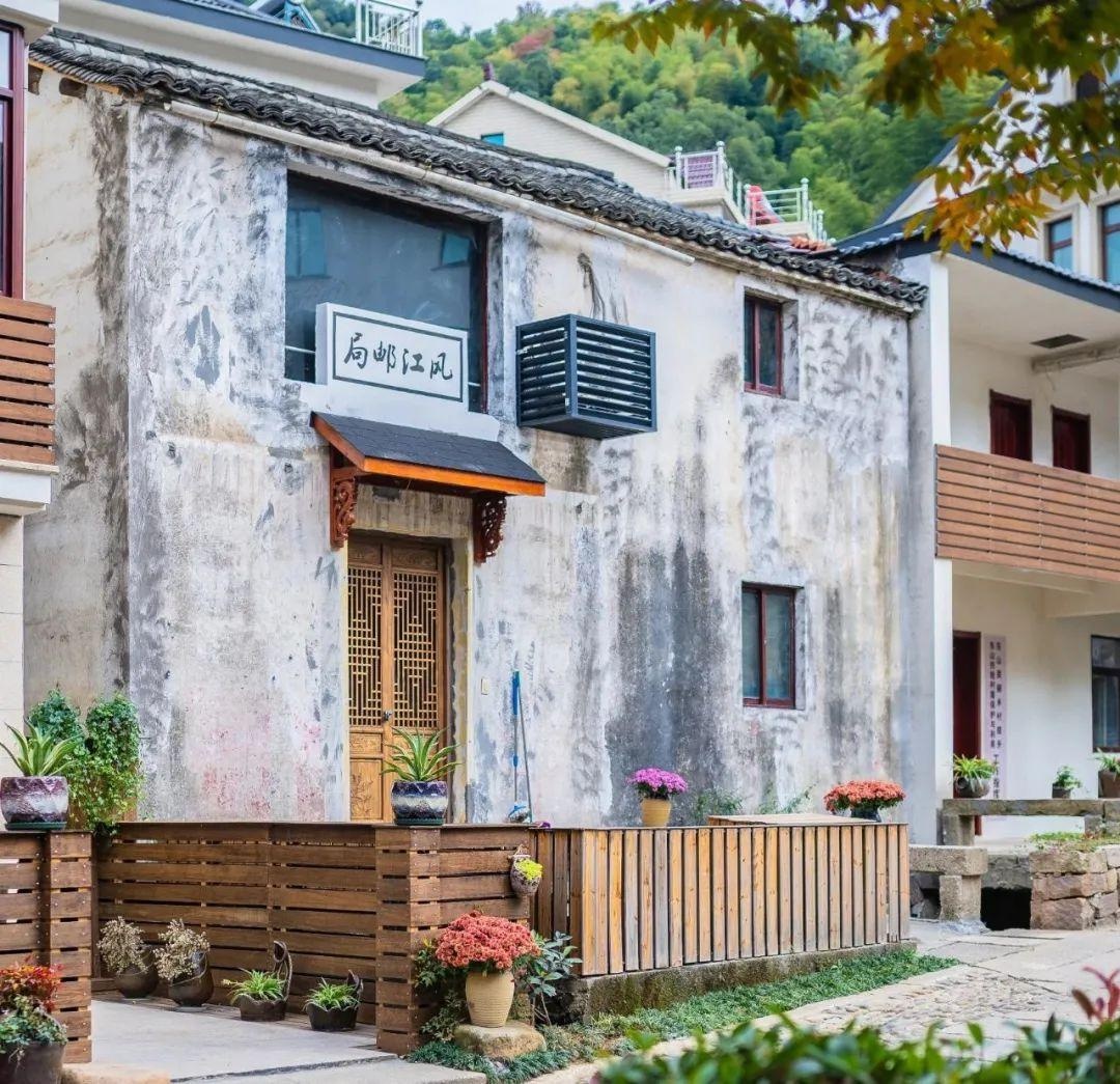 走进萧山乡村共富之路①|东山村:绿水青山 真是金山银山