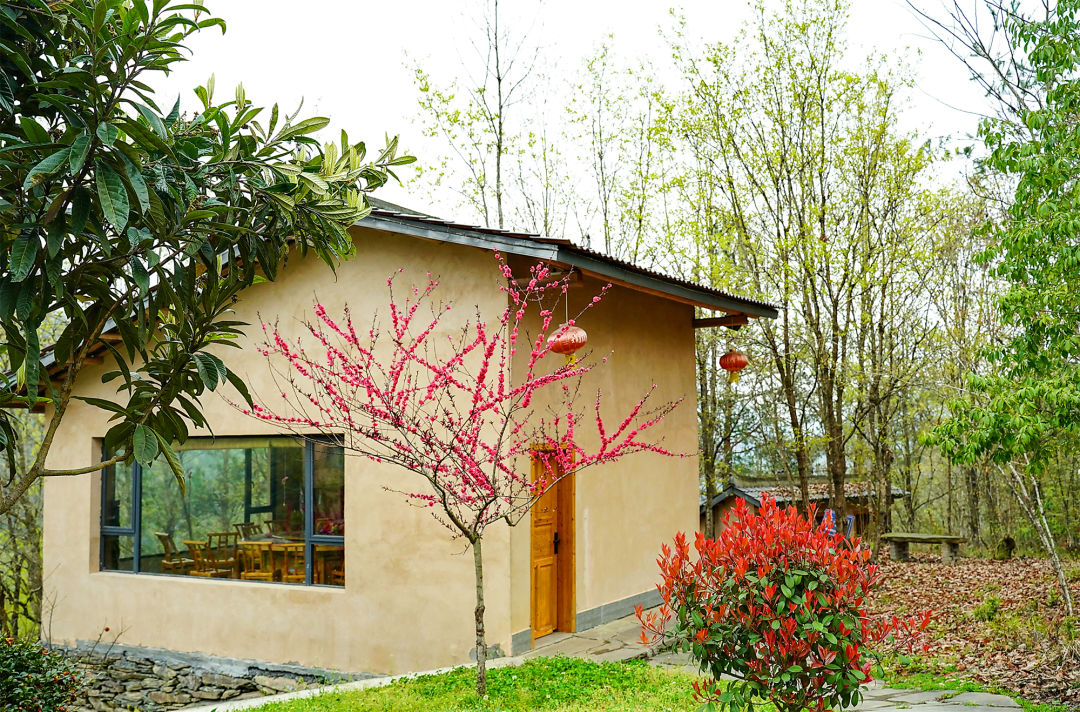 陕南平利:去女娲康养民宿村,赏十里春光百花妍