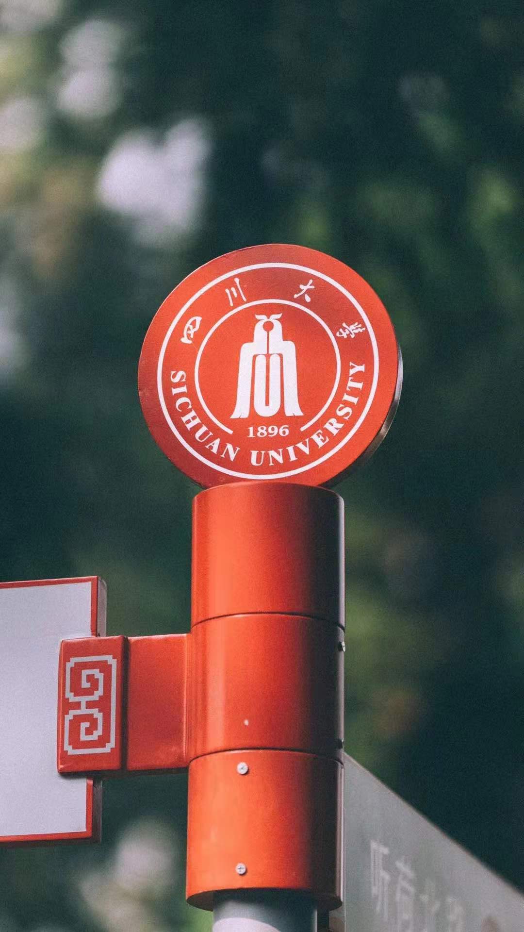 23改考纲了!四川大学华西公共卫生学院(353卫生综合)考研经验