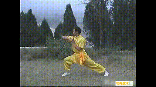 少林连环拳实战格斗运用(下),既防身又健身,普通人能练的拳