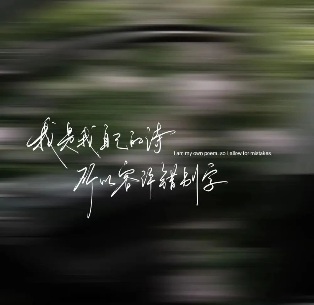 多款清冷背景图与实用表情包合集
