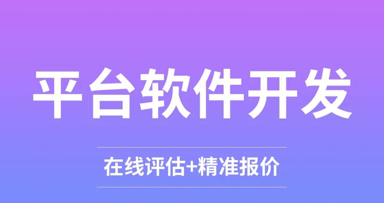长沙软件开发
