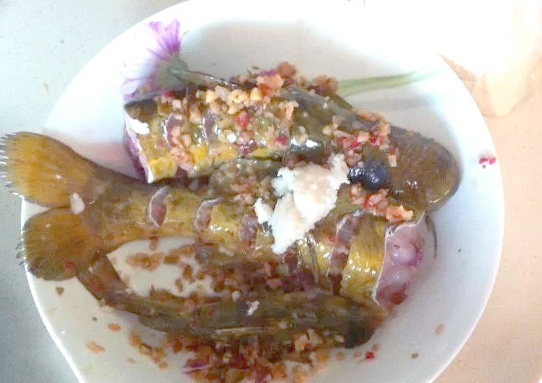 贵州角角鱼钓法与美味烹饪指南