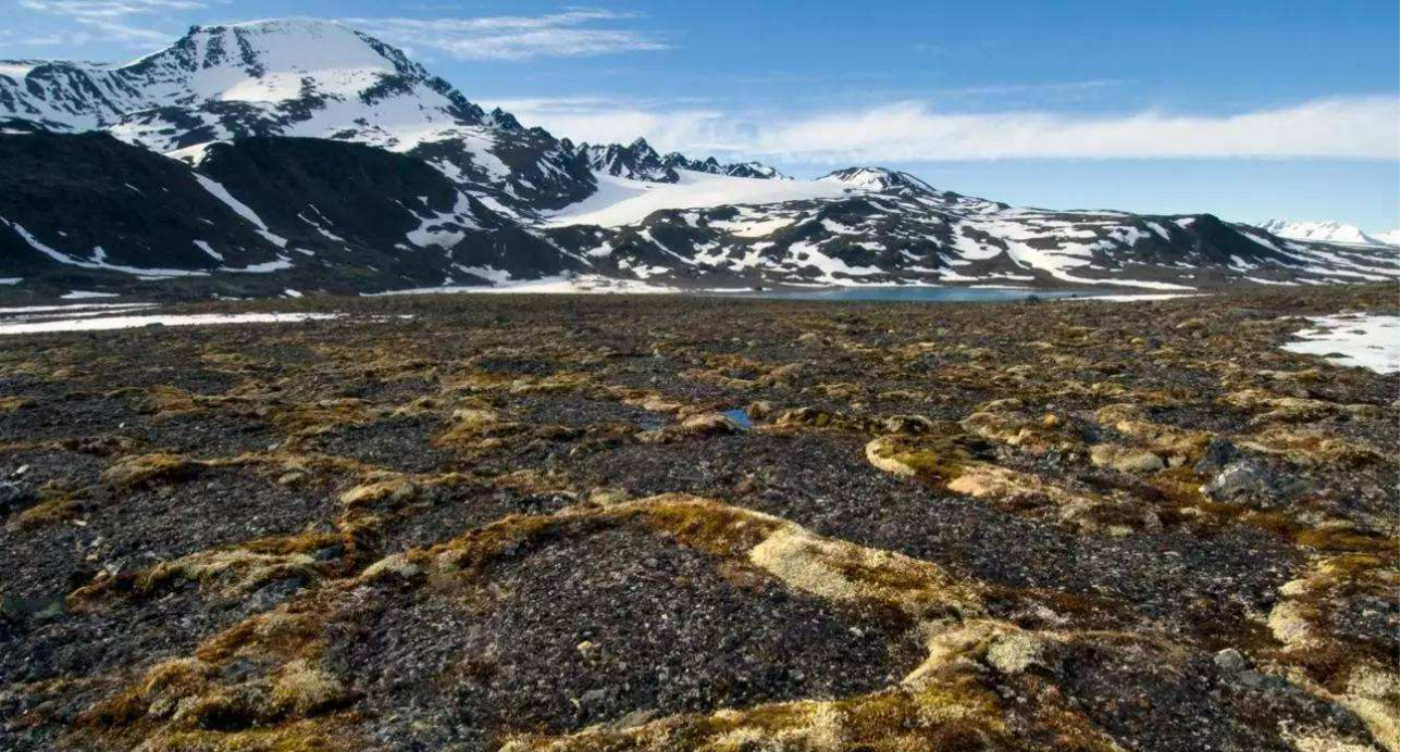 北极冻土层迅速融化,冰封了4.2万年的线虫,一面世就活了过来