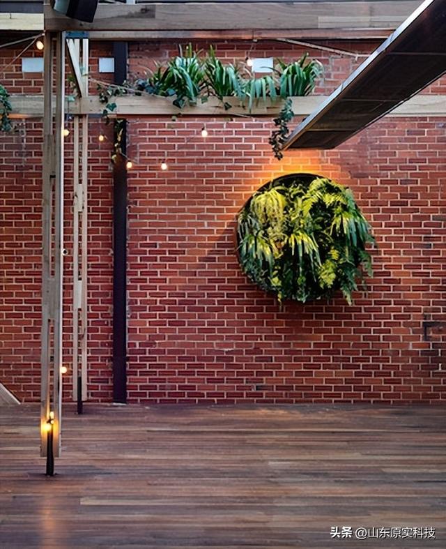 澳大利亚stomping ground灯光设计