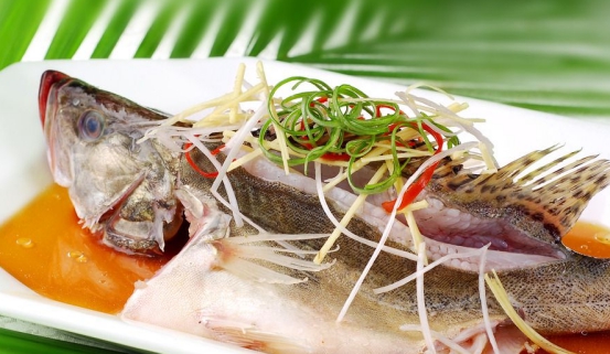 海桂鱼怎么吃「海桂鱼的做法大全家常窍门」
