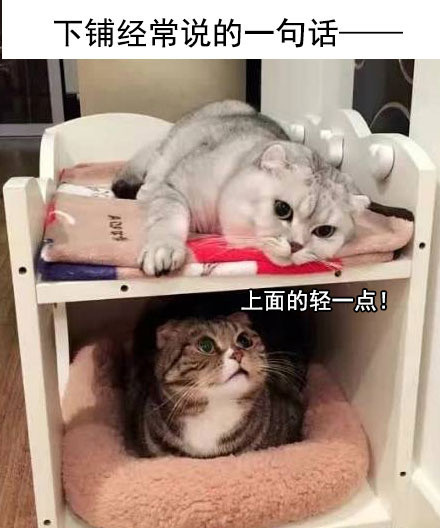 微信宿舍恶搞表情包金馆长表情包