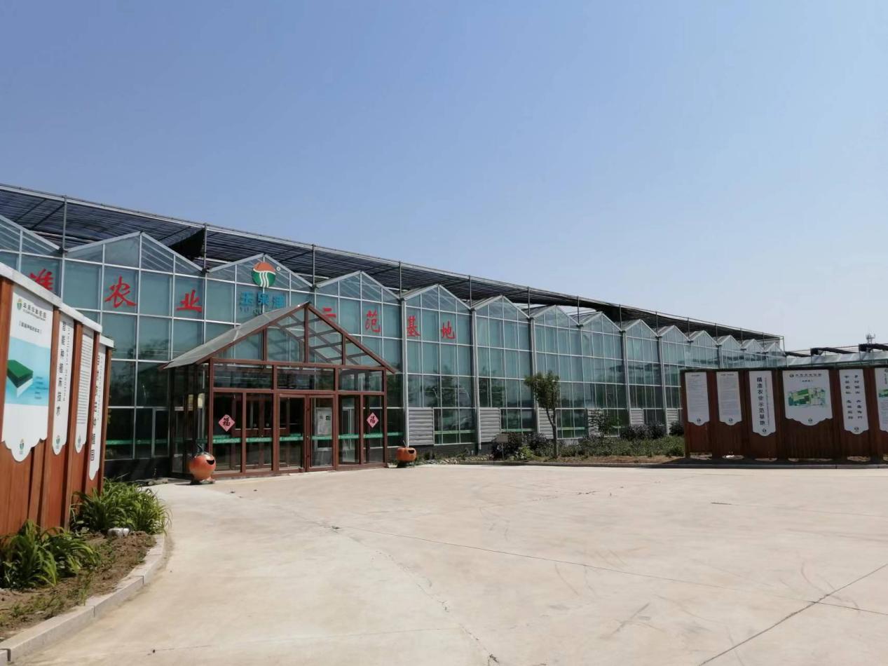 从"空壳村"到"亿元村"——探寻洼里村的蜕变密码