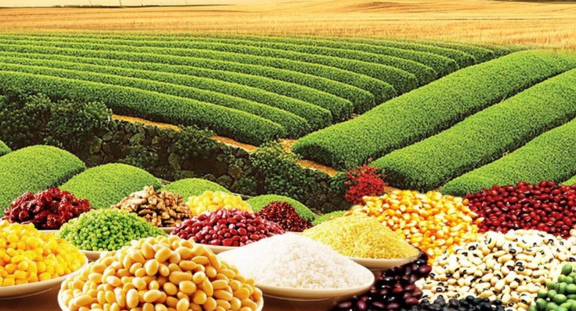 第十八届农交会「粮食类展品报」来啦!