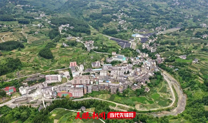 道真:道真:做足"四篇文章"实现"林长治"