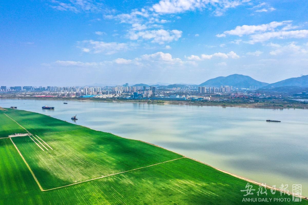 铜陵:长江岸线生态美 魅力画卷春意浓