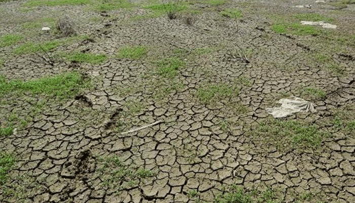 减少化肥农药的使用,营造绿色家园