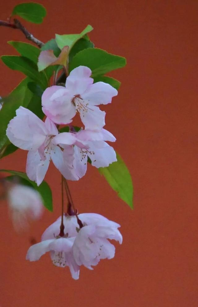 「hey!年青人」赵仁滨:换个方向,走更理想的路