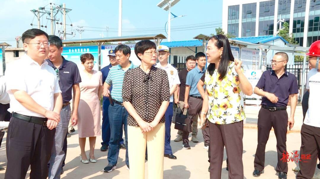 市委常委,市委宣传部部长贺建湘来临武县调研安全生产和重点项目建设