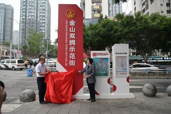 重庆金山街道图片