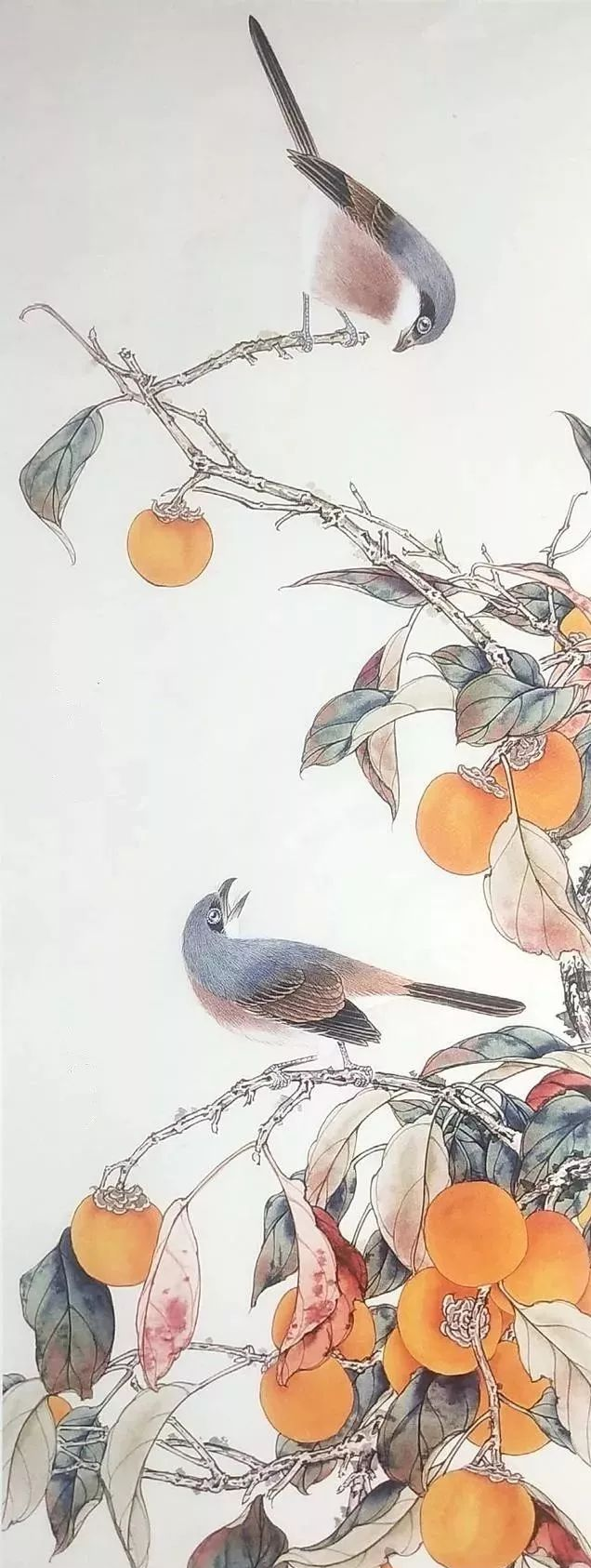工笔画柿子与鸟的设色示范图文步骤详解