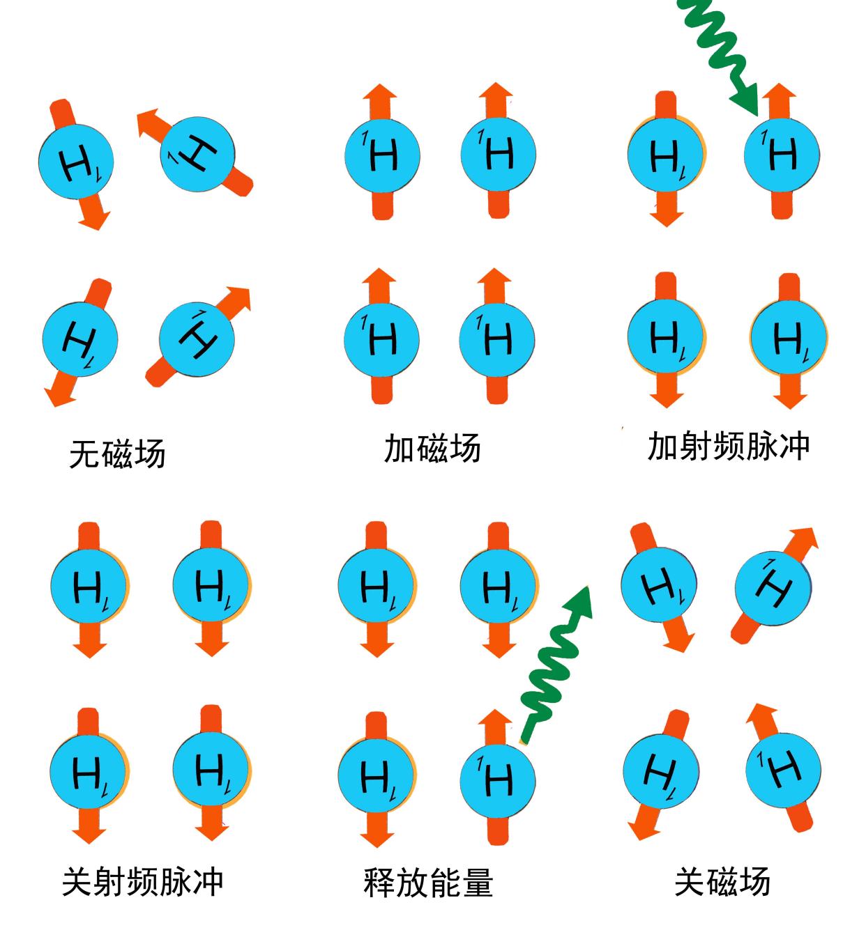 核磁共振原理图片