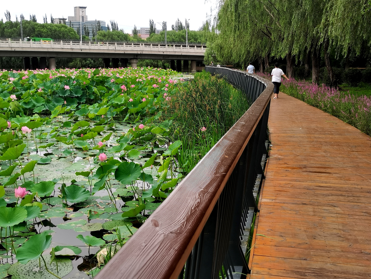 沈阳北塔公园13景点美煞人