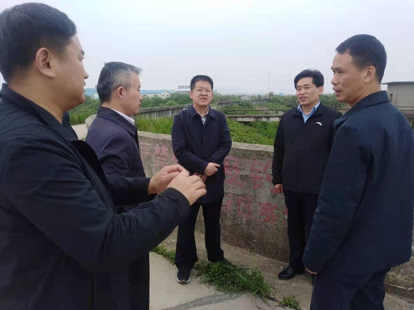 严盛平调研河湖圩堤管理范围内房屋问题整改工作