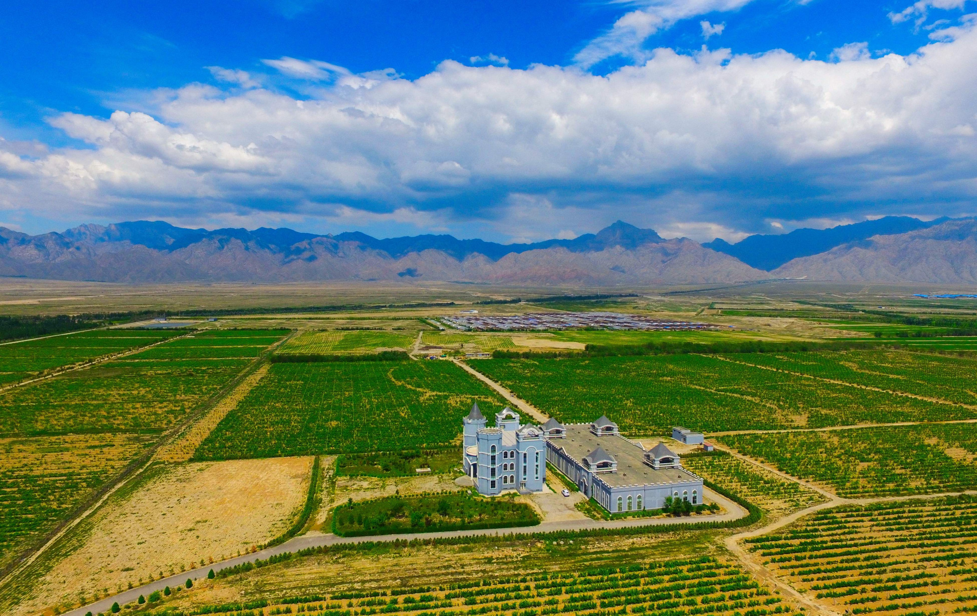 宁夏贺兰山东麓:打造闻名遐迩的"葡萄酒之都"