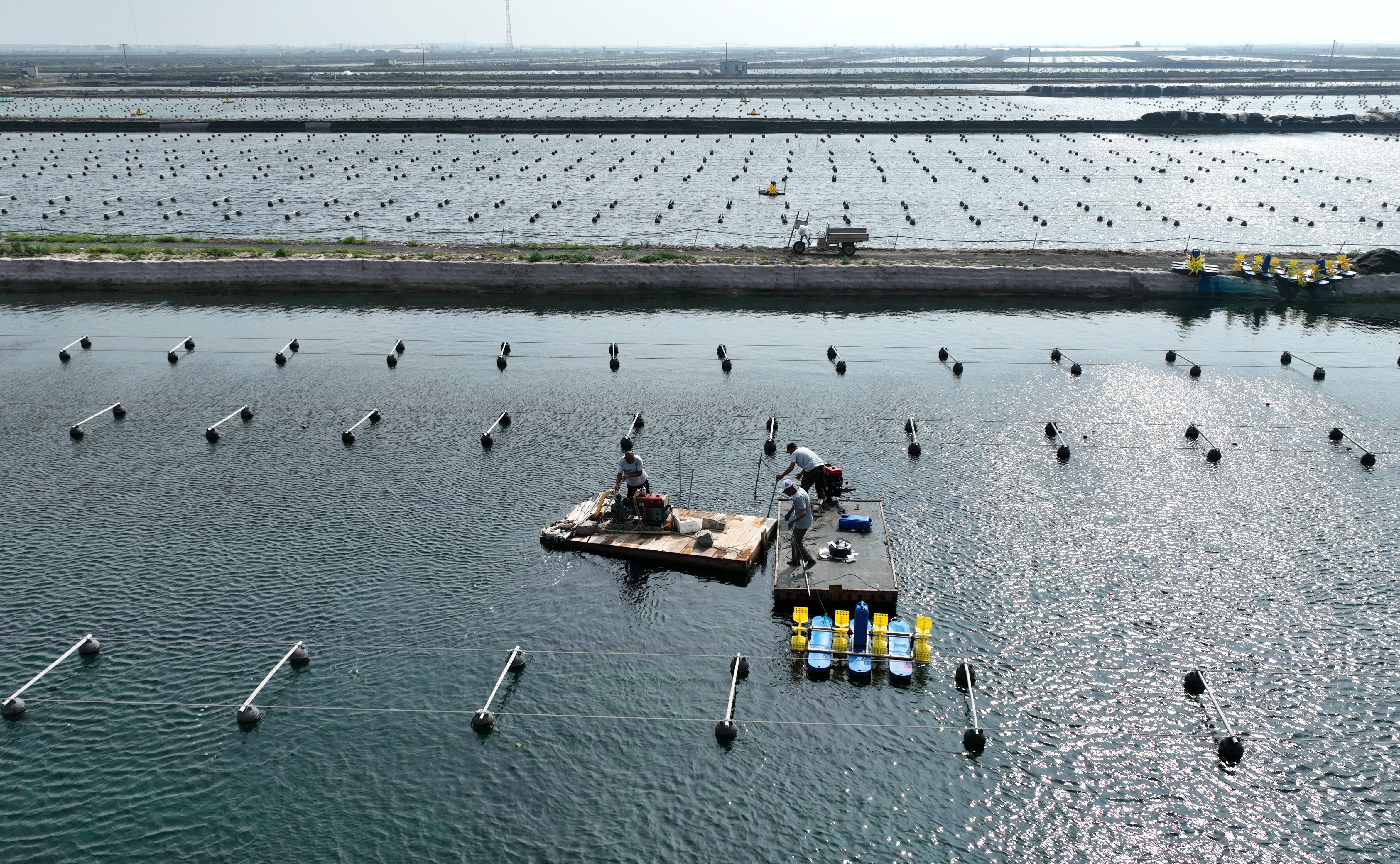 (经济)河北乐亭:特色海产养殖促增收