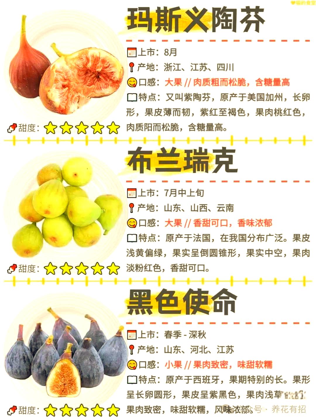 多种无花果品种,你挑选得合适吗?