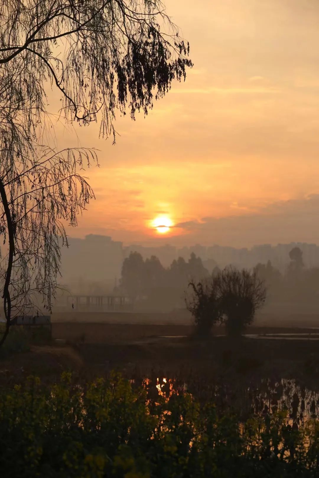 今早,成都天空是粉红色的!