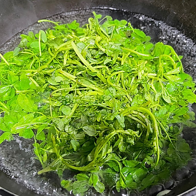 少盐饮食 轻松生活 凉拌苜蓿菜