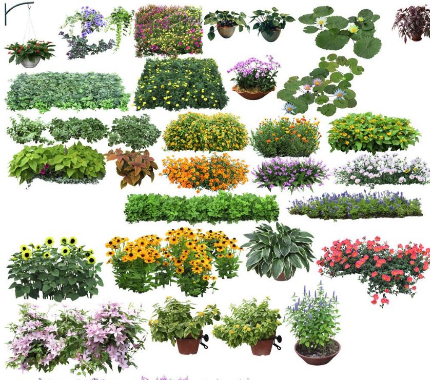 「第371期」园林景观ps植物人物后期配景素材丨免费领取