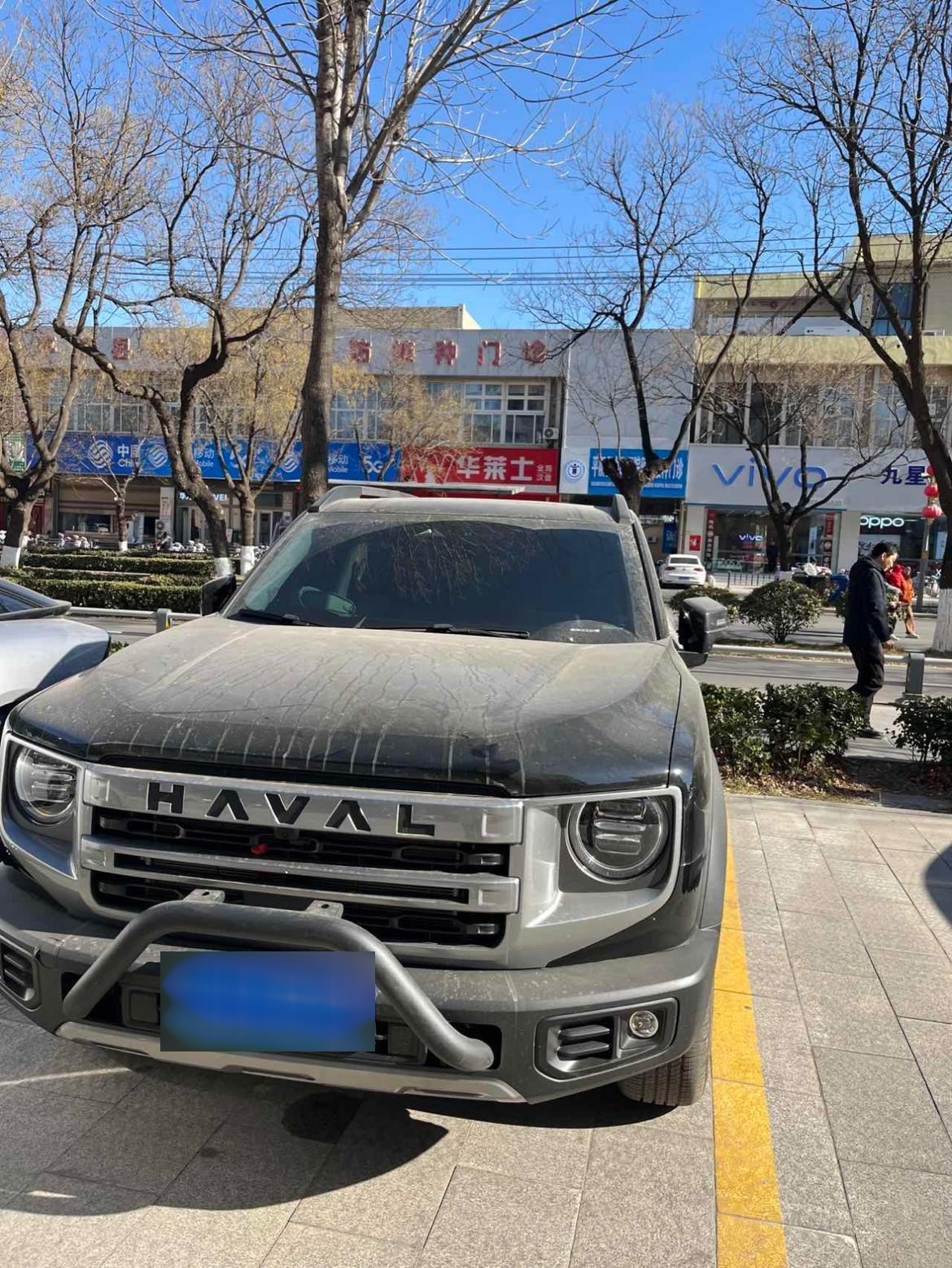 大狗前脸加装防撞保护杠