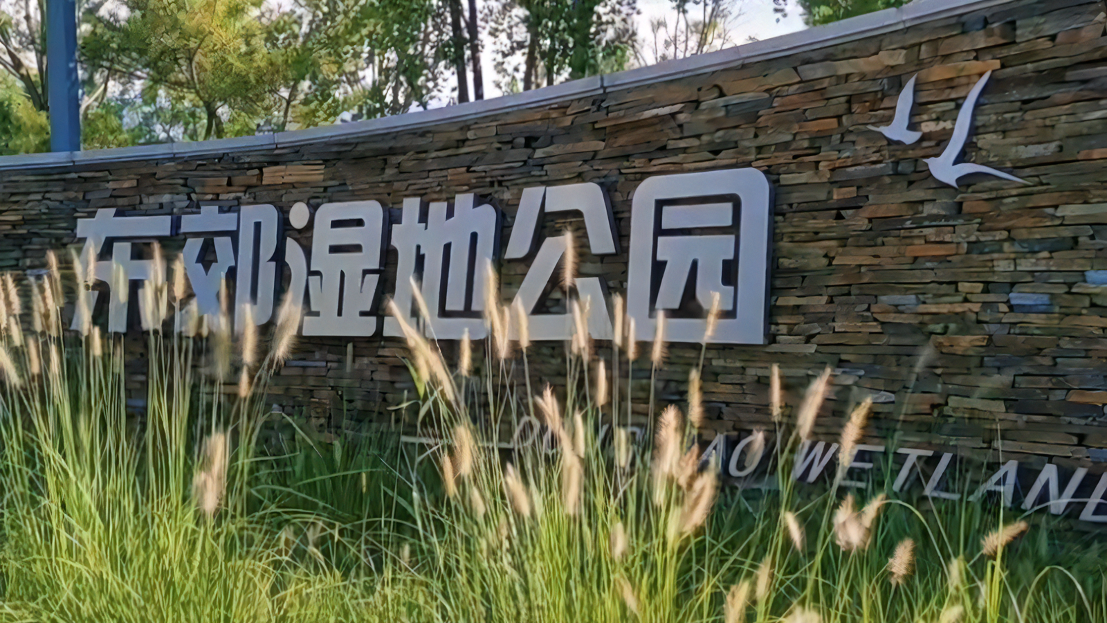 北京能搭帐篷的公园