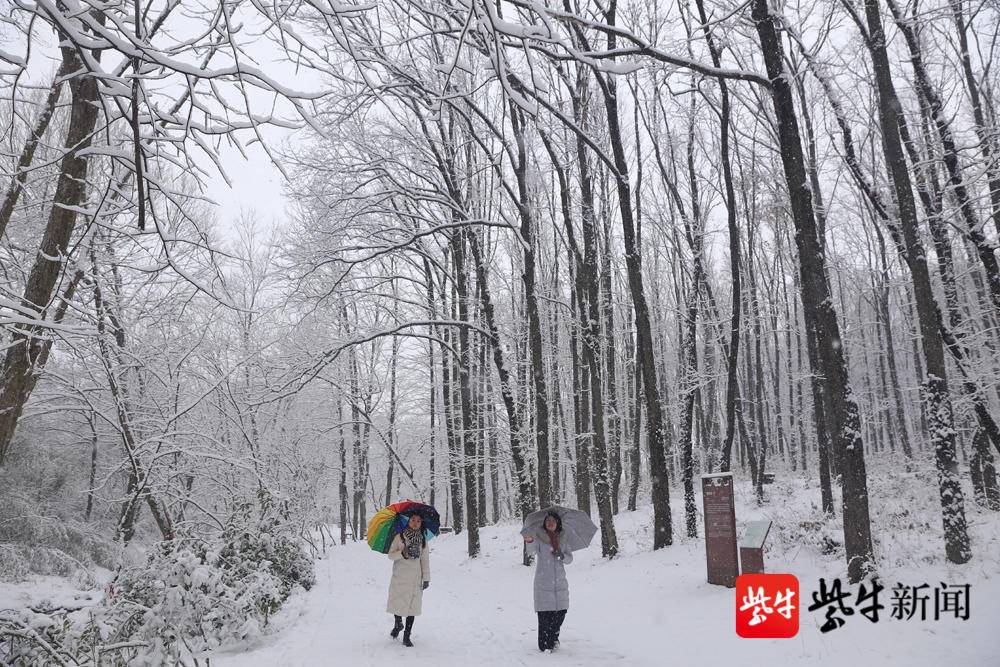 「视频」雪后盱眙铁山寺,再现雪霁古刹美景