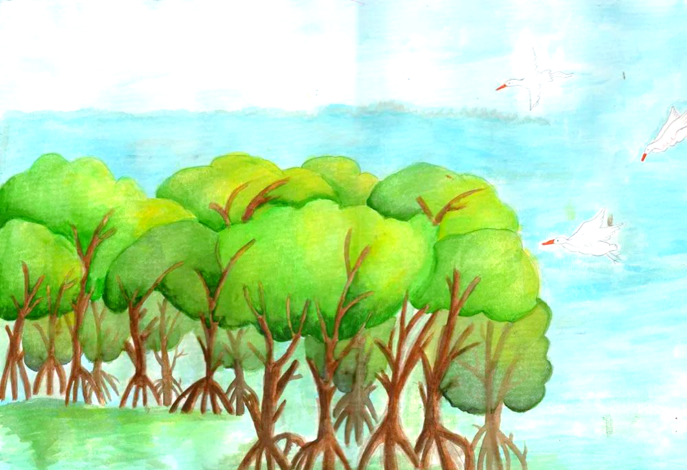 红树林画作盛宴:全球儿童作品展示