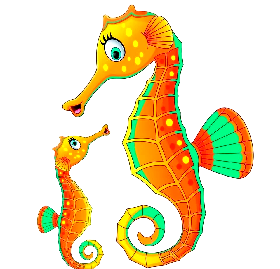 海马:小海马是如何诞生的?