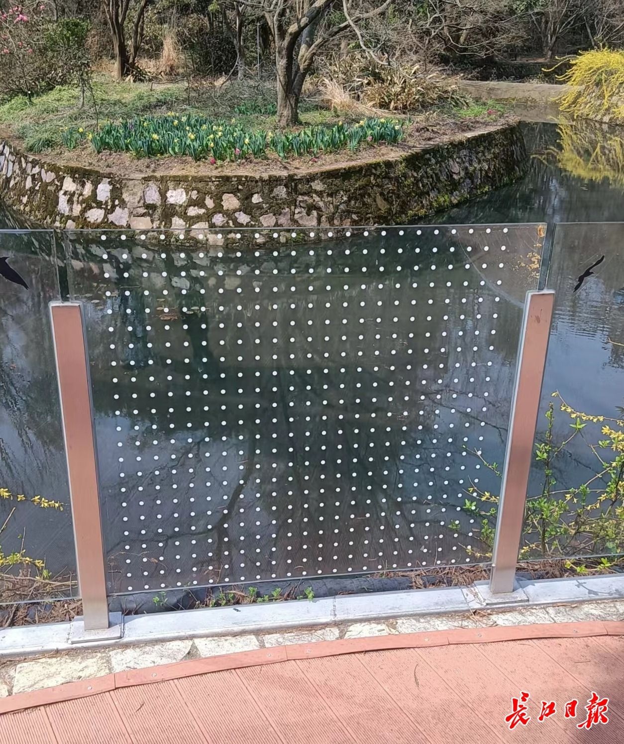 "防鸟撞",植物园玻璃护栏贴上贴纸