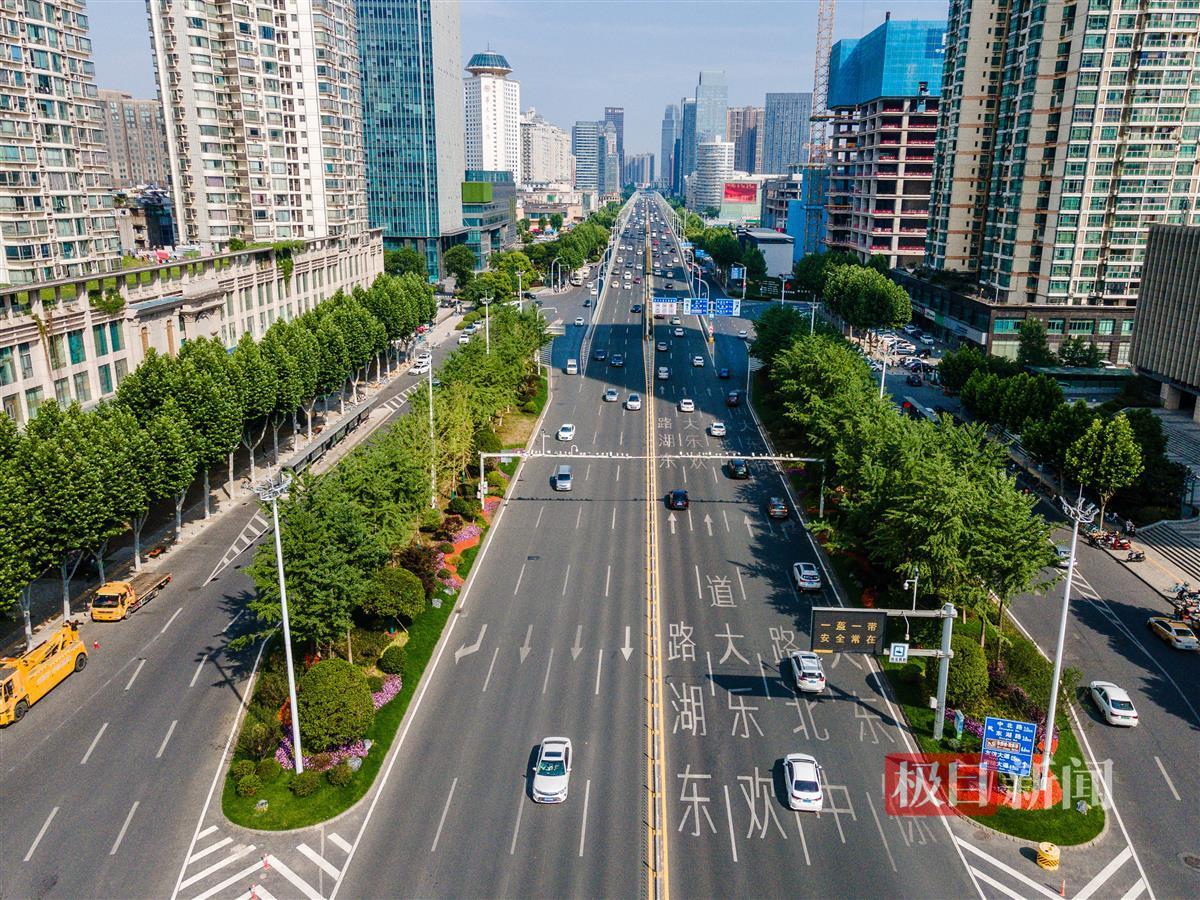 武昌城管独具匠心,徐东大街花景大道炎炎夏日惊艳亮相