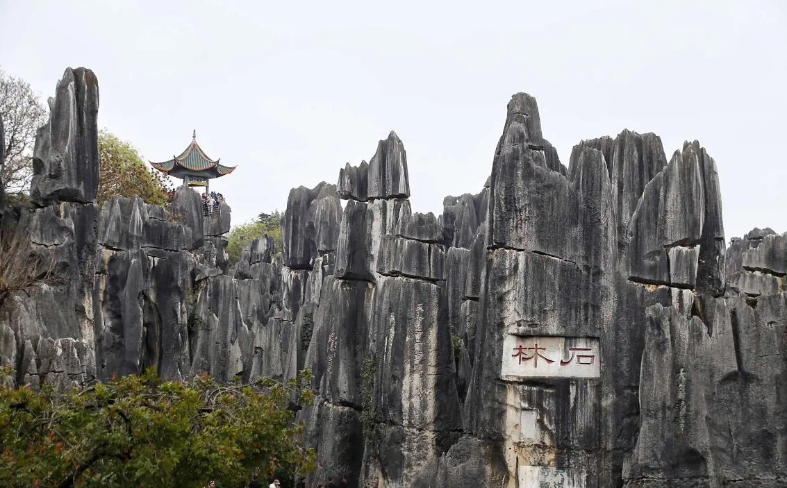 云南红色旅游景点,这4个景点看完,如同踏上红军文化历史的旅程