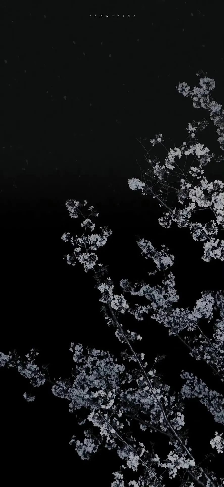 壁纸|精选ins风暗色系手机壁纸