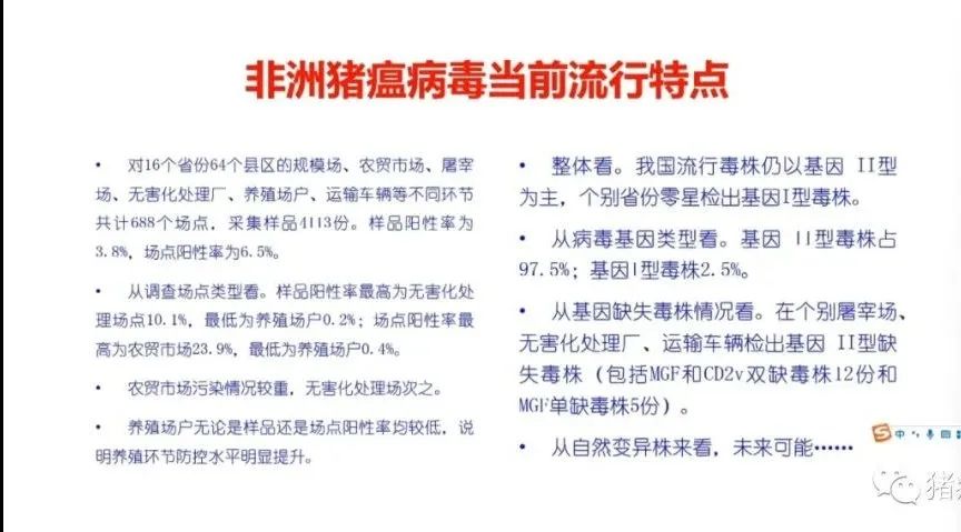 权威解读|当前非洲猪瘟流行状况与防控措施