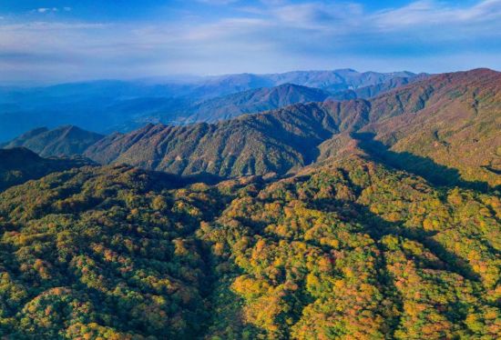 湖南八大公山国家级自然保护区入选iucn"绿色名录"