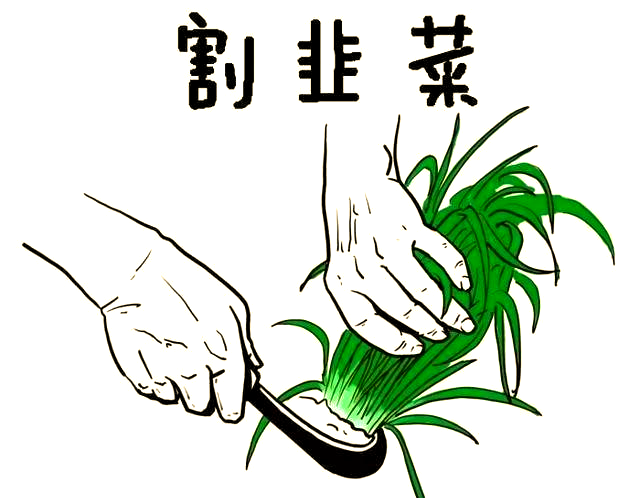 割韭菜现象解析:你是否有过类似的经历?