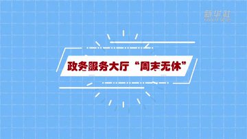 遇见郑州|什么?这里的政务服务中心周末不打烊?