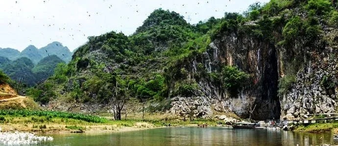 贵州一村组300多人全姓"忙",除此以外,"耍螃蟹""骂建行"……都是姓名