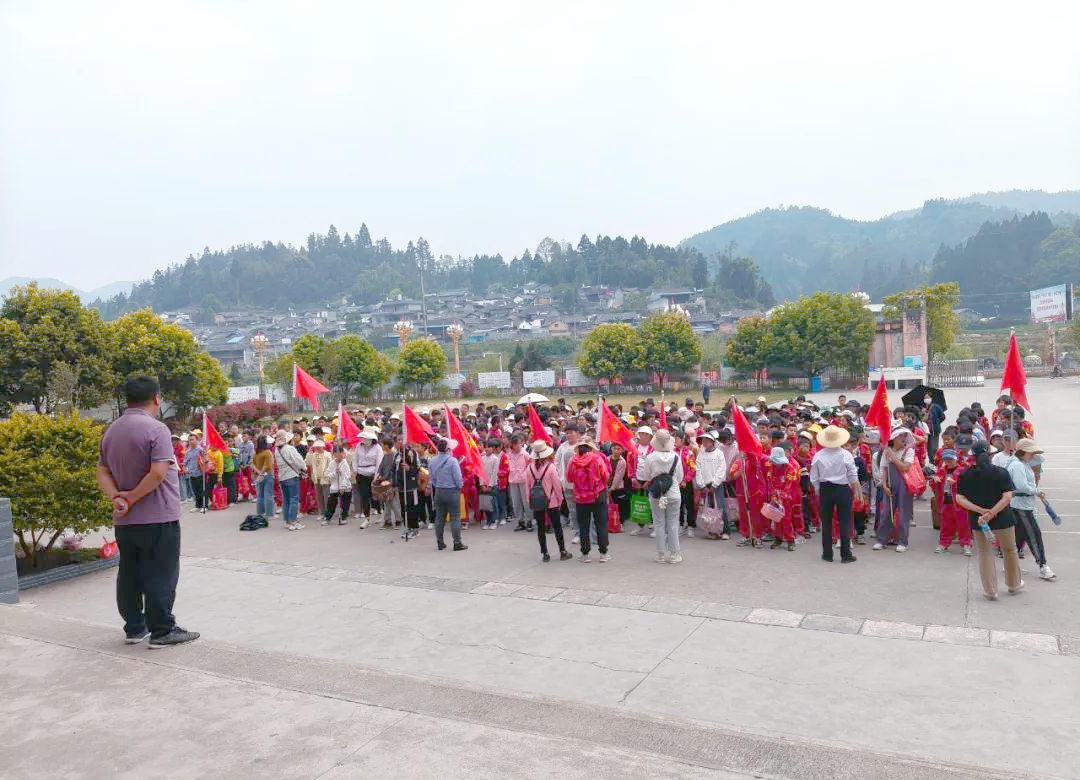 龙陵县象达小学的采茶实践之旅